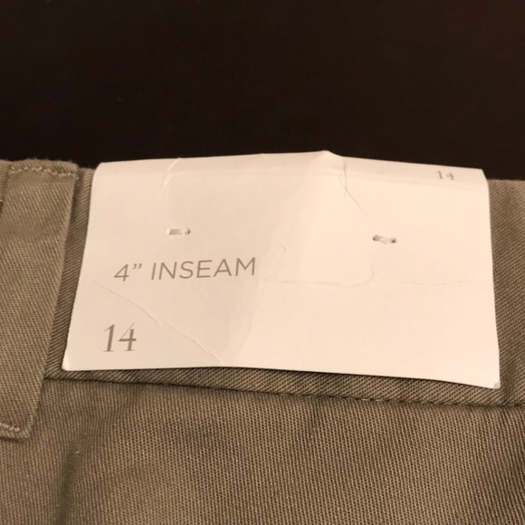 Loft: Brown Shorts - Picture 2 of 8